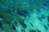 dsc_0740_small.jpg