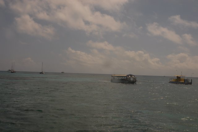 dsc_0750.jpg