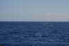 dsc_0752_small.jpg