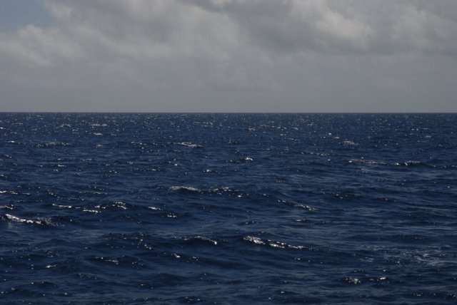 dsc_0753.jpg
