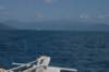 dsc_0755_small.jpg