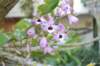 dsc_1751_small.jpg