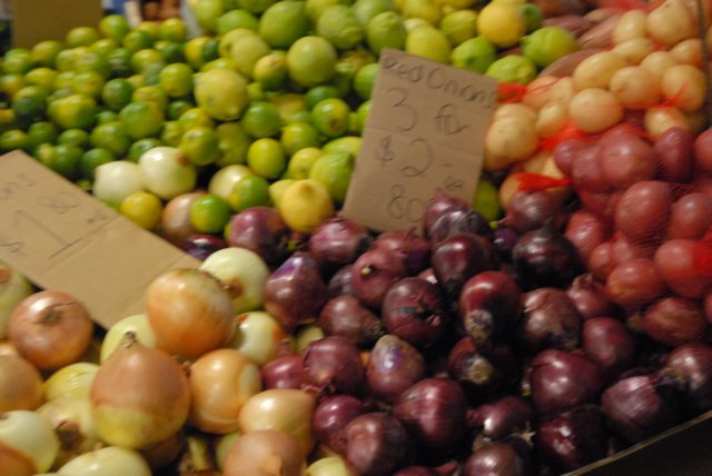 dsc_1765.jpg