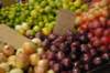 dsc_1765_small.jpg