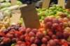dsc_1766_small.jpg