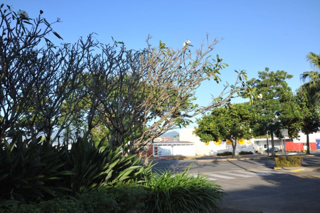 d120825k_0077.jpg