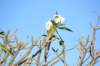 d120825k_0078_small.jpg