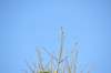 d120825k_0079_small.jpg