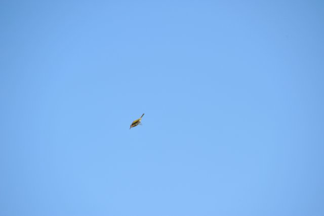 d120825k_0080.jpg