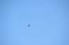 d120825k_0080_small.jpg
