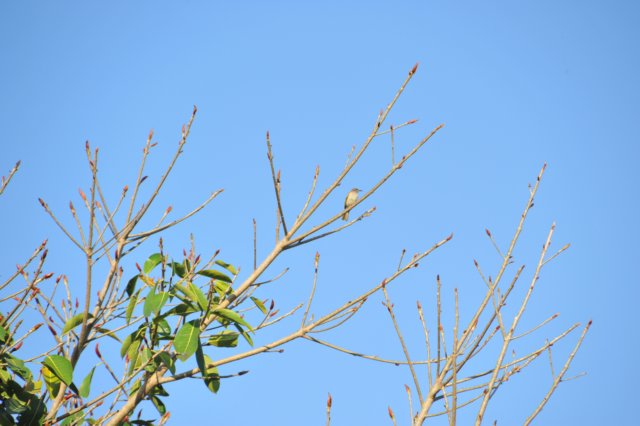d120825k_0081.jpg