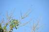 d120825k_0081_small.jpg