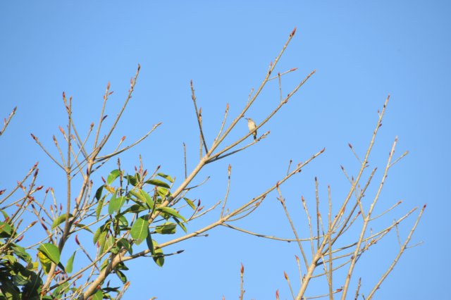 d120825k_0082.jpg