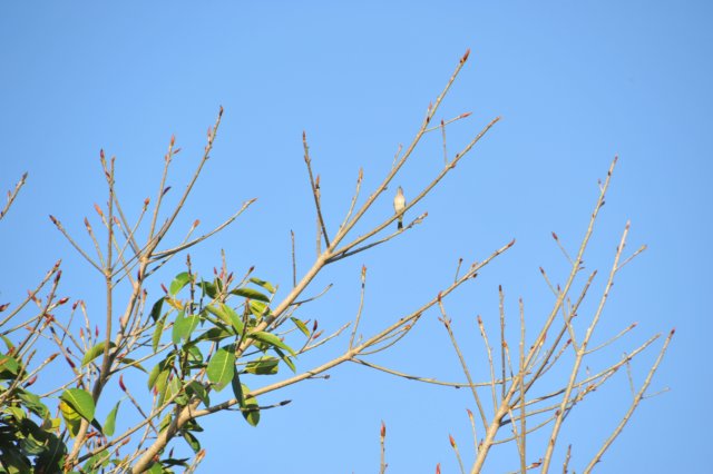 d120825k_0083.jpg