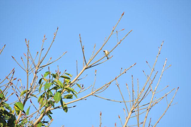 d120825k_0085.jpg
