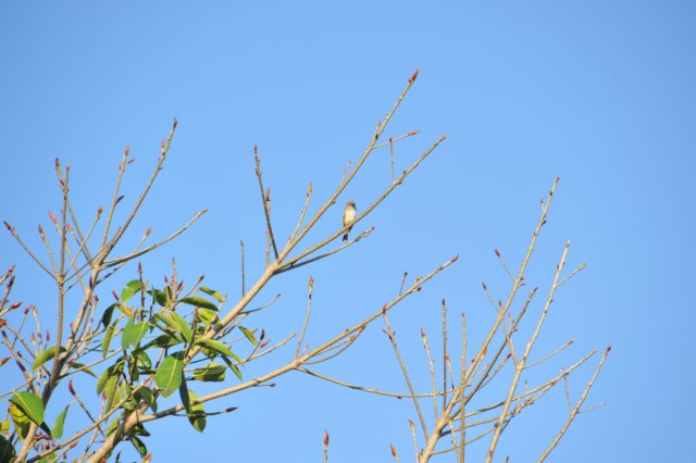 d120825k_0088.jpg