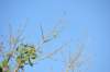 d120825k_0088_small.jpg