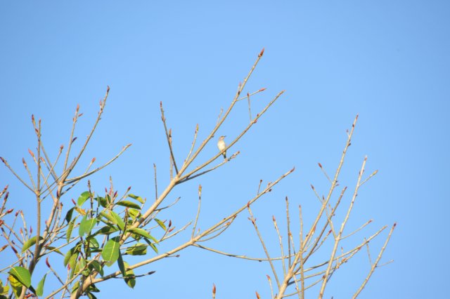 d120825k_0094.jpg