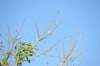 d120825k_0094_small.jpg