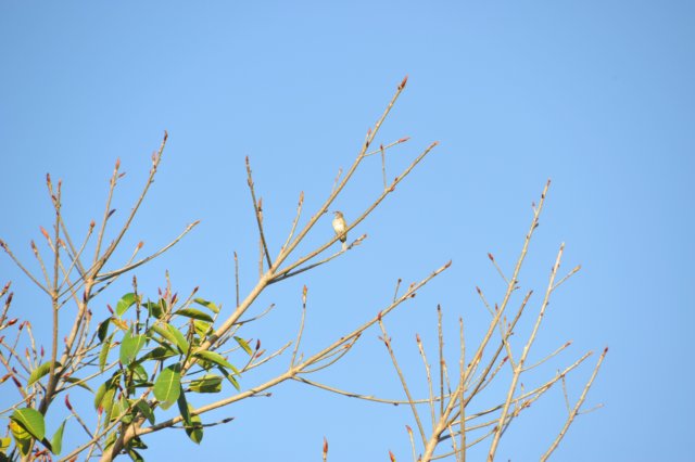 d120825k_0099.jpg