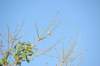 d120825k_0099_small.jpg