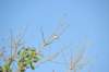 d120825k_0100_small.jpg