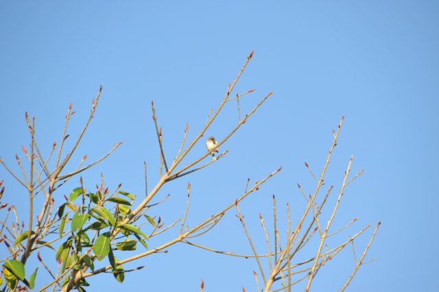 d120825k_0102.jpg