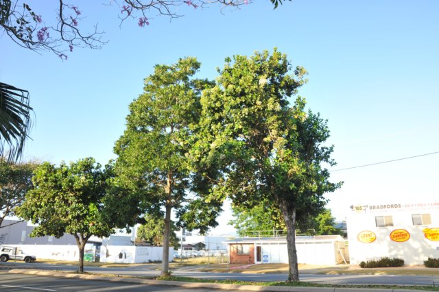d120825k_0110.jpg
