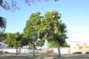 d120825k_0110_small.jpg