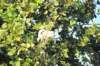 d120825k_0111_small.jpg