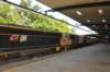 d120825k_0179_small.jpg