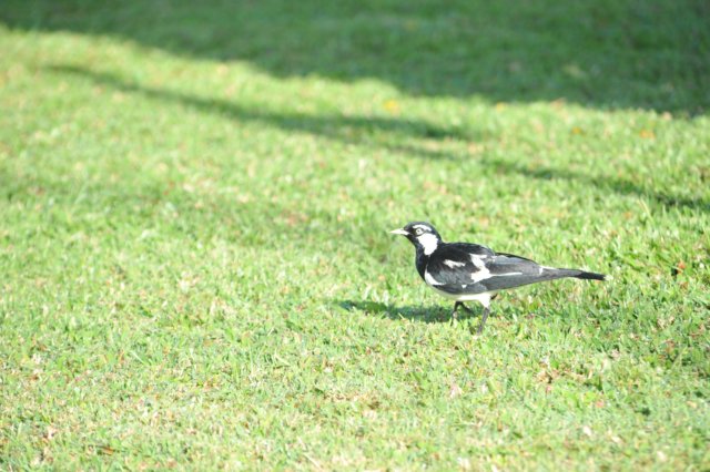d120825k_0206.jpg