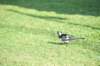 d120825k_0206_small.jpg