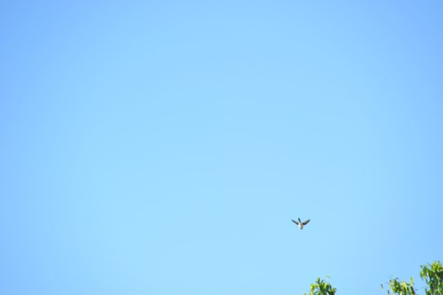 d120825k_0211.jpg