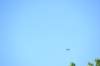 d120825k_0211_small.jpg