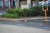 d120825k_0216_small.jpg