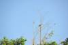 d120825k_0224_small.jpg