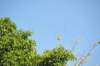 d120825k_0226_small.jpg