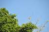 d120825k_0227_small.jpg