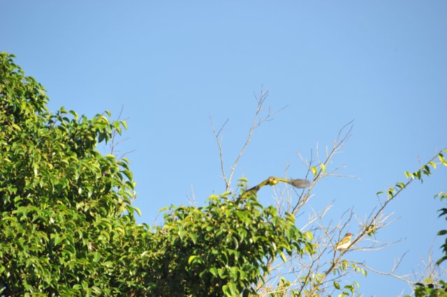 d120825k_0231.jpg
