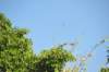 d120825k_0231_small.jpg