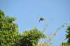 d120825k_0233_small.jpg