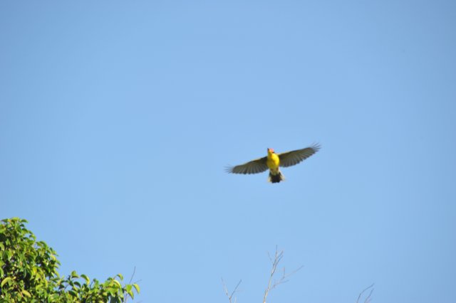 d120825k_0234.jpg
