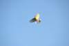 d120825k_0235_small.jpg