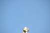 d120825k_0236_small.jpg