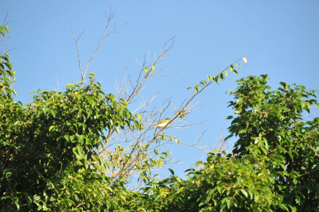 d120825k_0243.jpg