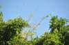 d120825k_0243_small.jpg