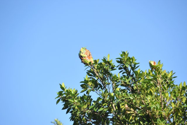 d120825k_0259.jpg