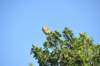 d120825k_0259_small.jpg
