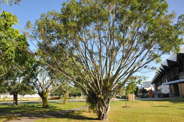 d120825k_0267.jpg
